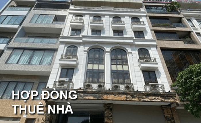 Hợp đồng thuê nhà ở có thời hạn trên 6 tháng